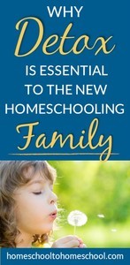 Deschooling-homeschool-definition-ideas-to-start