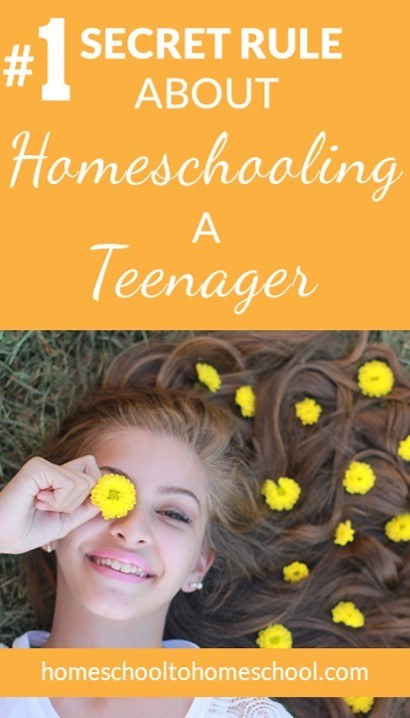Homeschooling a teenager in middle school or high school